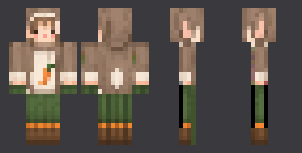 Holland Agouti — front, back and side artwork from the download